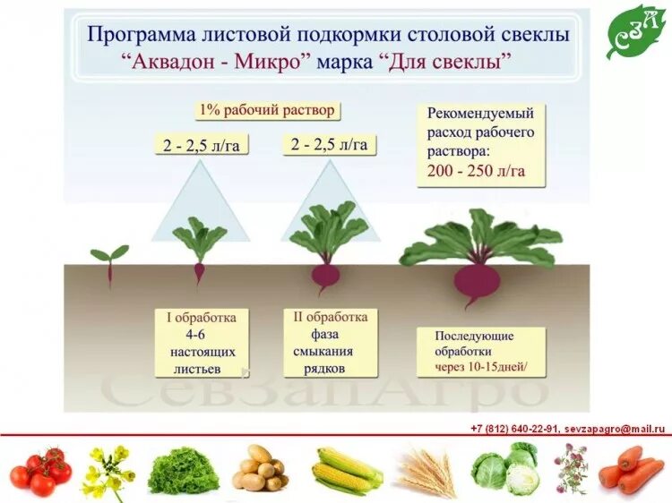 Можно ли после подкормки. Схема внесения удобрений для картофеля. Схема подкормки картофеля по листу. Таблица внесения удобрений для картофеля. Удобрение для картофеля по листу.