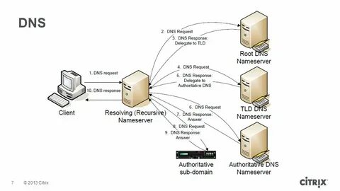 Dns query
