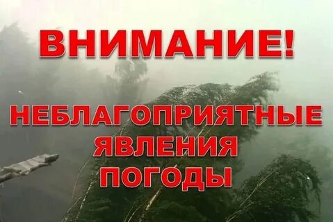 Внимание явления
