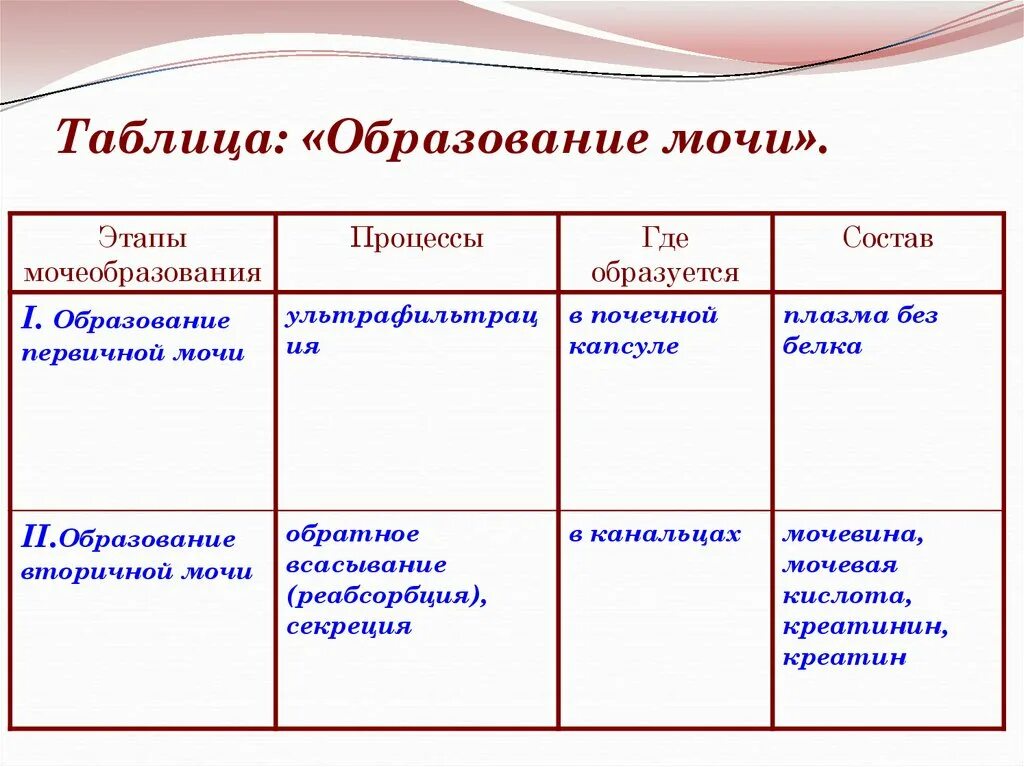 Образование мочи тест. Таблица этапы мочеобразования процессы. Этапы образования мочи схема. Таблица по биологии 8 класс этапы мочеобразования. Этапы мочеобразования таблица.