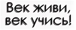 Век живи век учись впр. Век живи. Век живи век учись. Пословица век живи век учись. Век живи век учись на латыни.