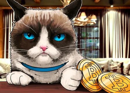 Биткоин кетс