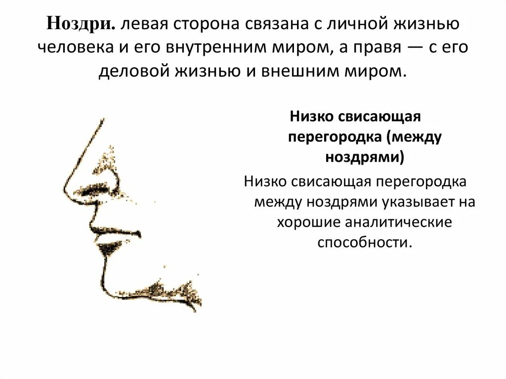 Физиогномика лоб. Физиогномика картинки. Физиогномика лица нос. Формы носа. Курносый нос физиогномика.