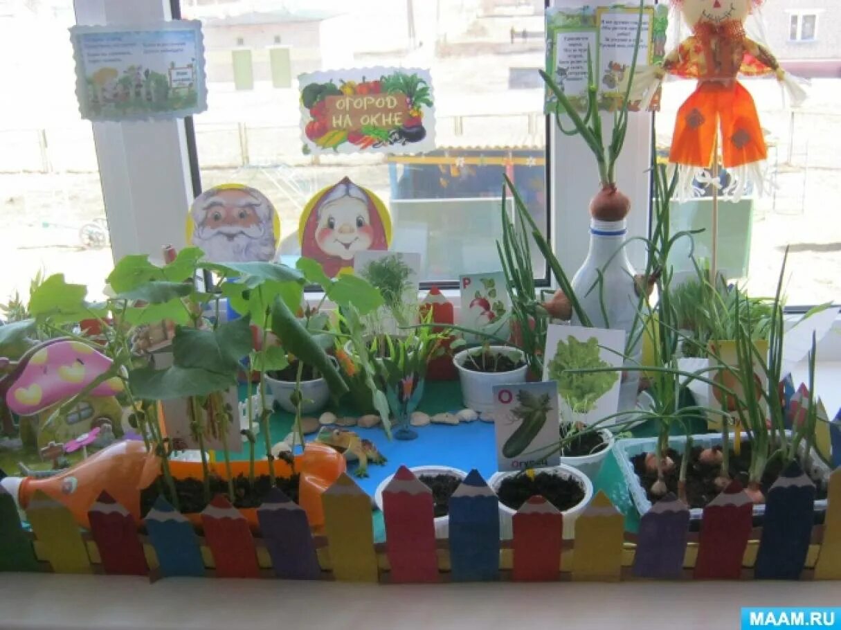 Огород в подготовительной группе детского сада. Огород в подготовительной группе детского сада. Огород в подготовительной группе детского сада. Огород на окне в детском саду подготовительная группа. Огород в садике на подоконнике.