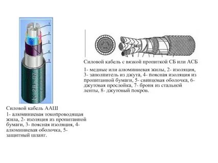 Силовая жила