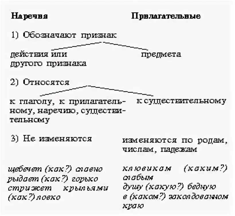 Предложение с наречием красивее и прилагательным красивее