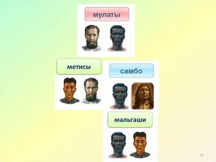 Смешанные расы самбо потомки метисы потомки