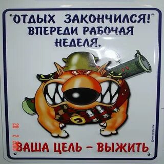 Среда тамада четверг