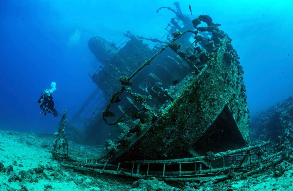 Изучение дна океана. Затонувший корабль в Египте Тистлегорм. Корабль SS Thistlegorm, красное море. Корабль Giannis d, красное море. Риф Абу Нухас.