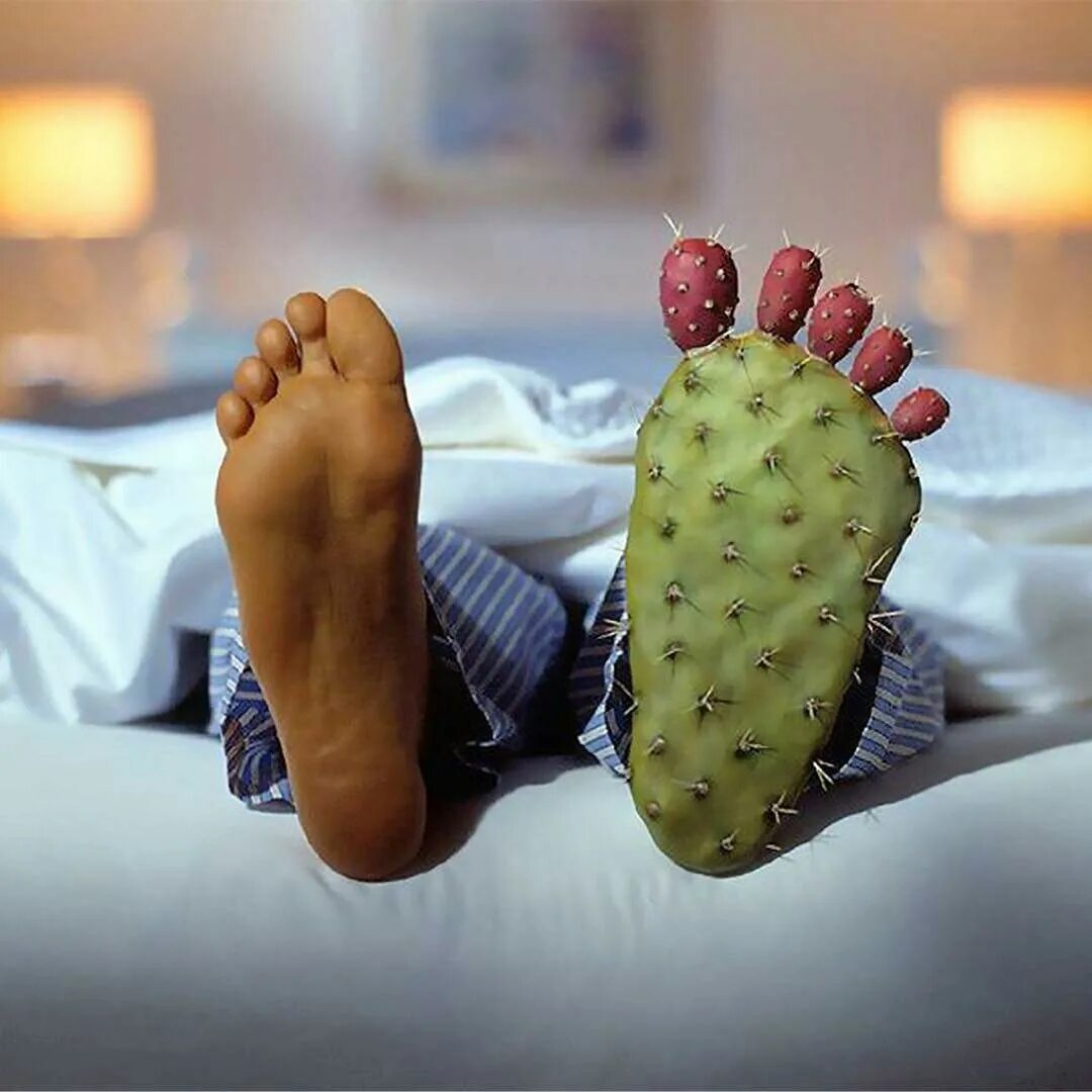 розовый кактус. девушка с кактусом. ноги кактус. кактус на ножке. девушка с кактусом шугаринг.