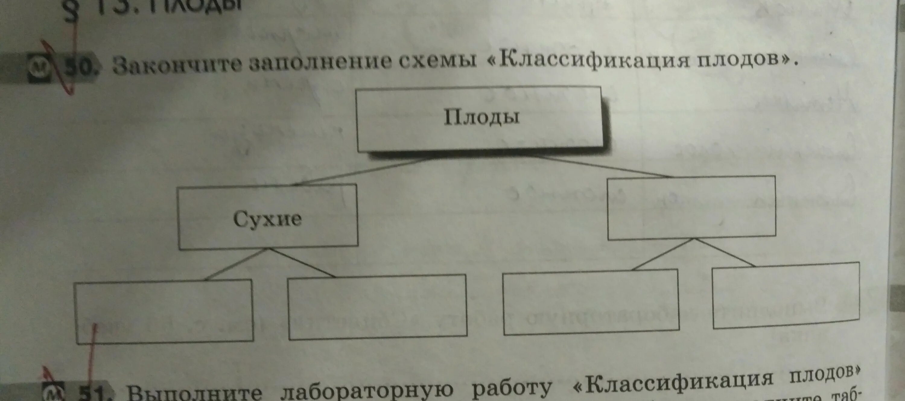 Закончите заполнение схемы классификация плодов. Закончите заполнение схем. Заполните схему классификация плодов. Заполни схему плоды.