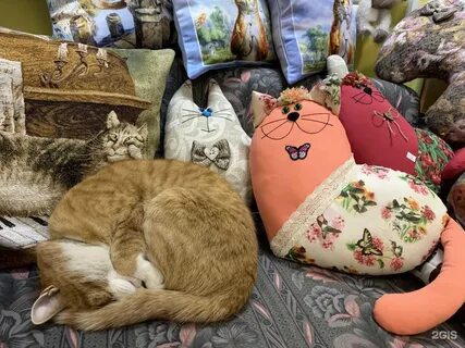 Лавка кота