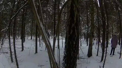 Нашли в лесу спящего робота но зря