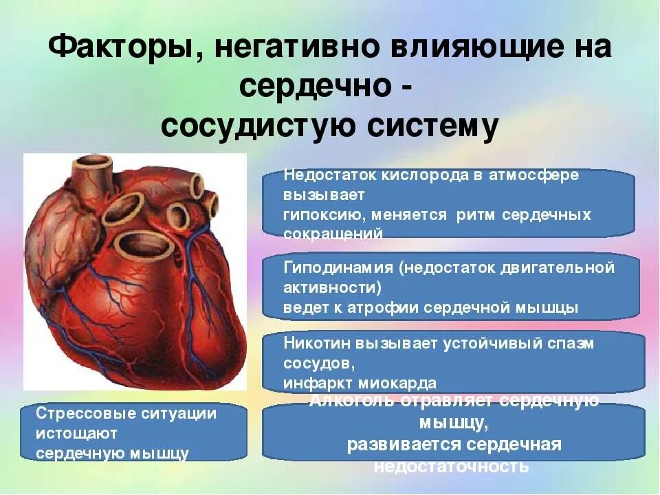 Сердечные болезни. Заболевания сердечно-сосудистой системы. Факторы влияющие на сердечно сосудистую систему. Предупреждение заболеваний сердца. Заболевания сердечно-сосудистой системы (ССС).