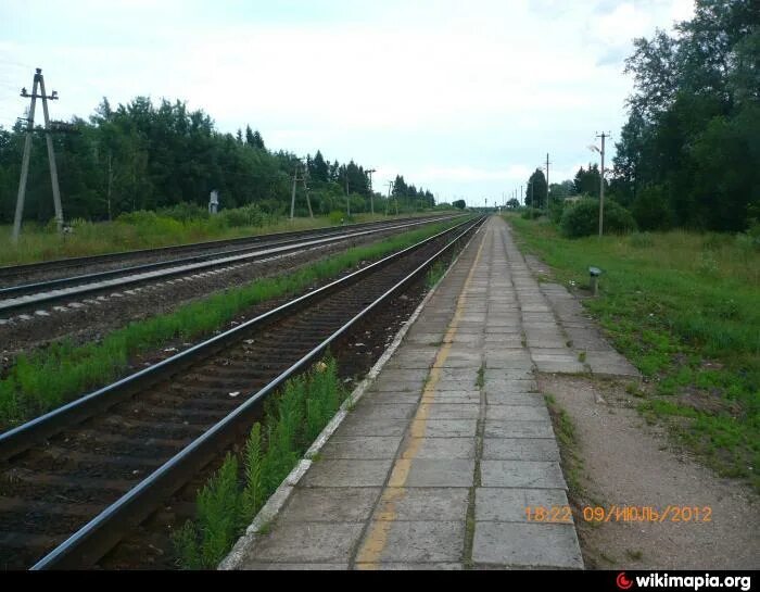 Погода карамышево псковская область