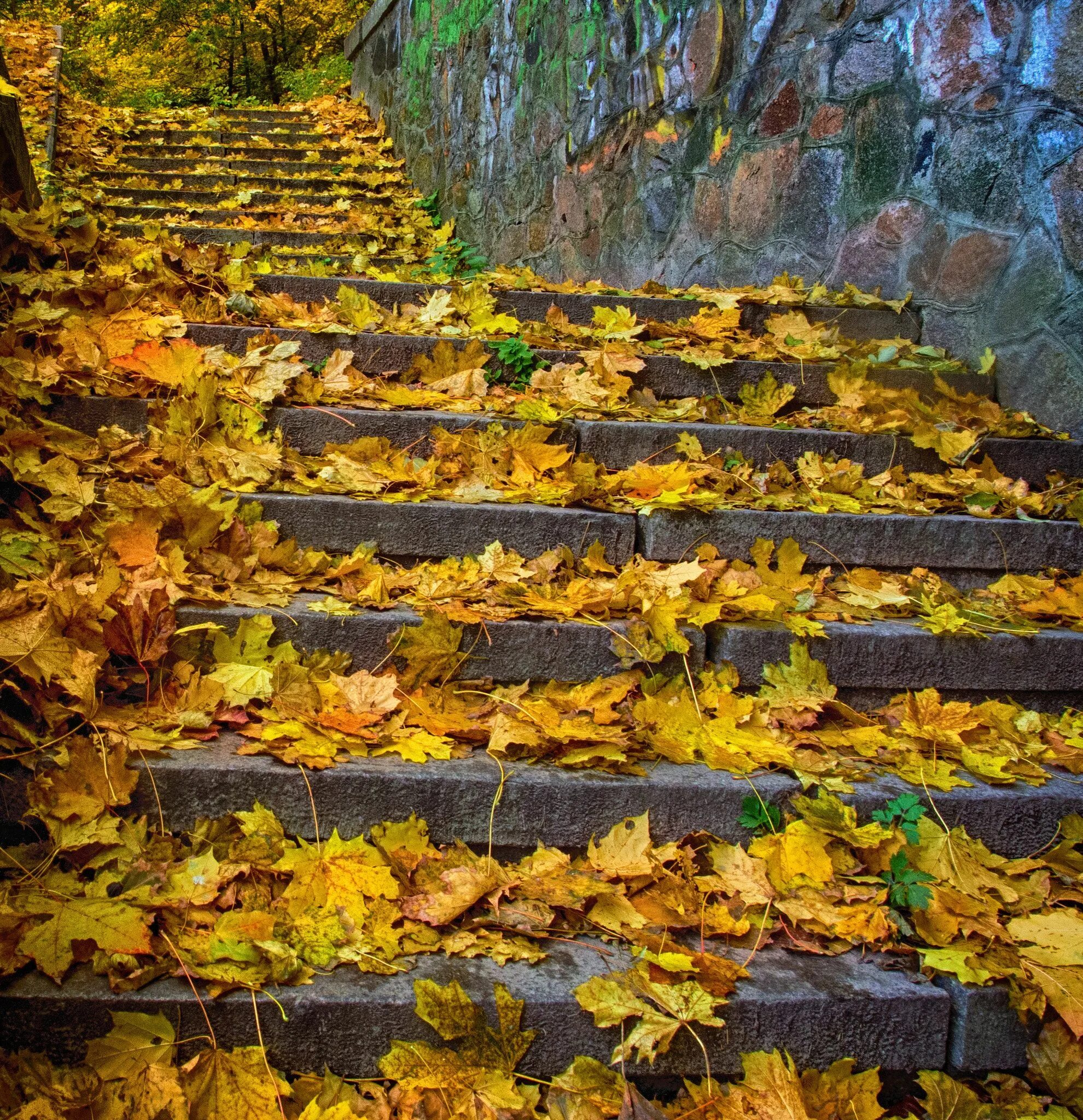 Ноги идут по ступенькам. Ноги спускаются по лестнице. Ноги идут по ступеням. Ноги на лестнице. Человек на ступеньках.