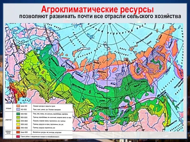Какие районы распространения