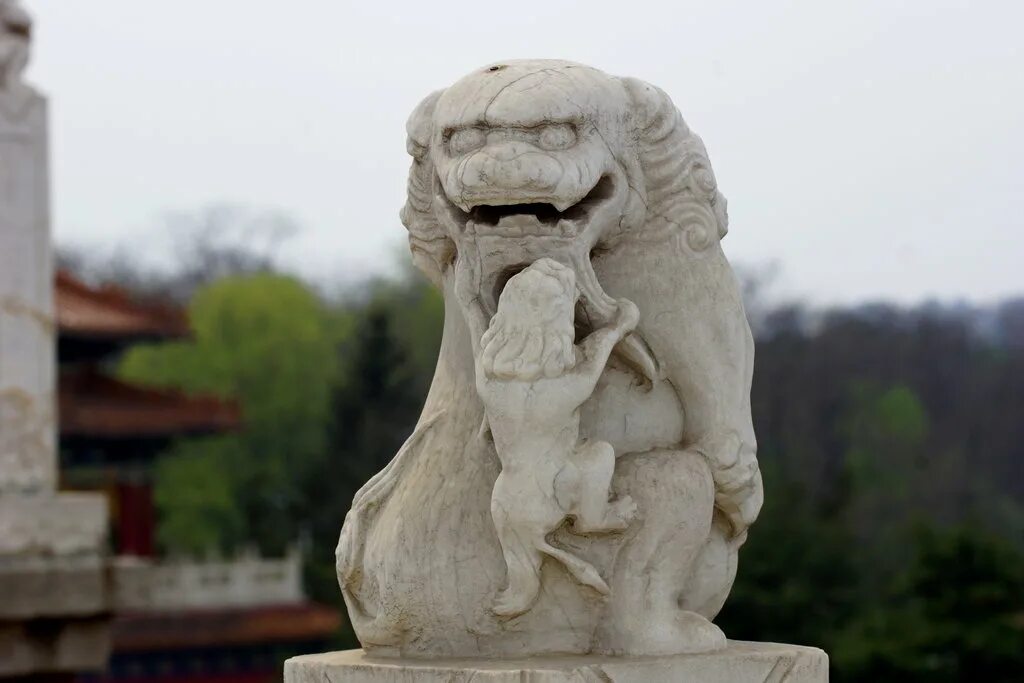 Снежный лев буддизм. Тибетский лев буддизм. Лев буддизм. Лев будды. Небесные львы будды статуэтки.