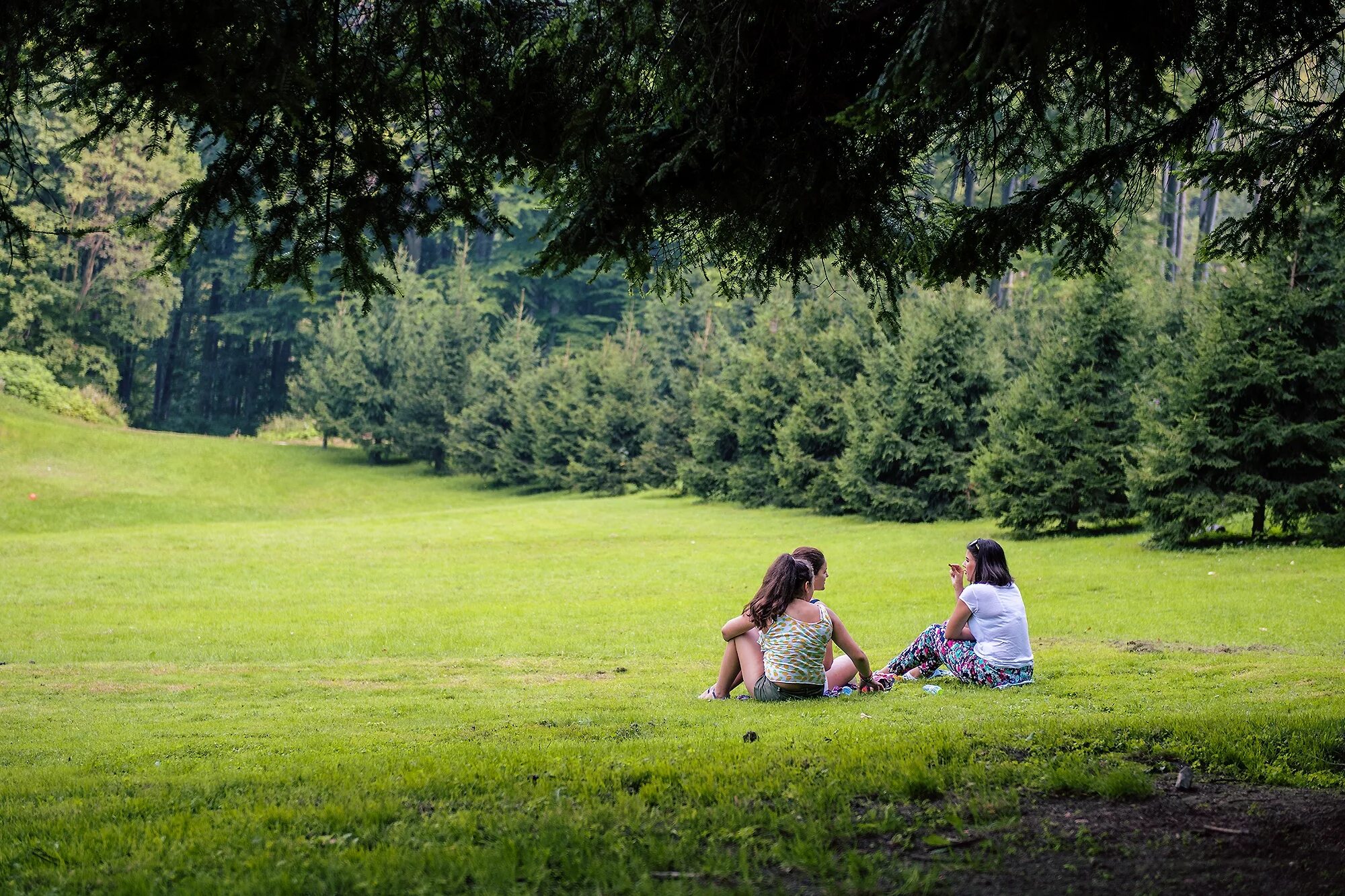 I was in the park