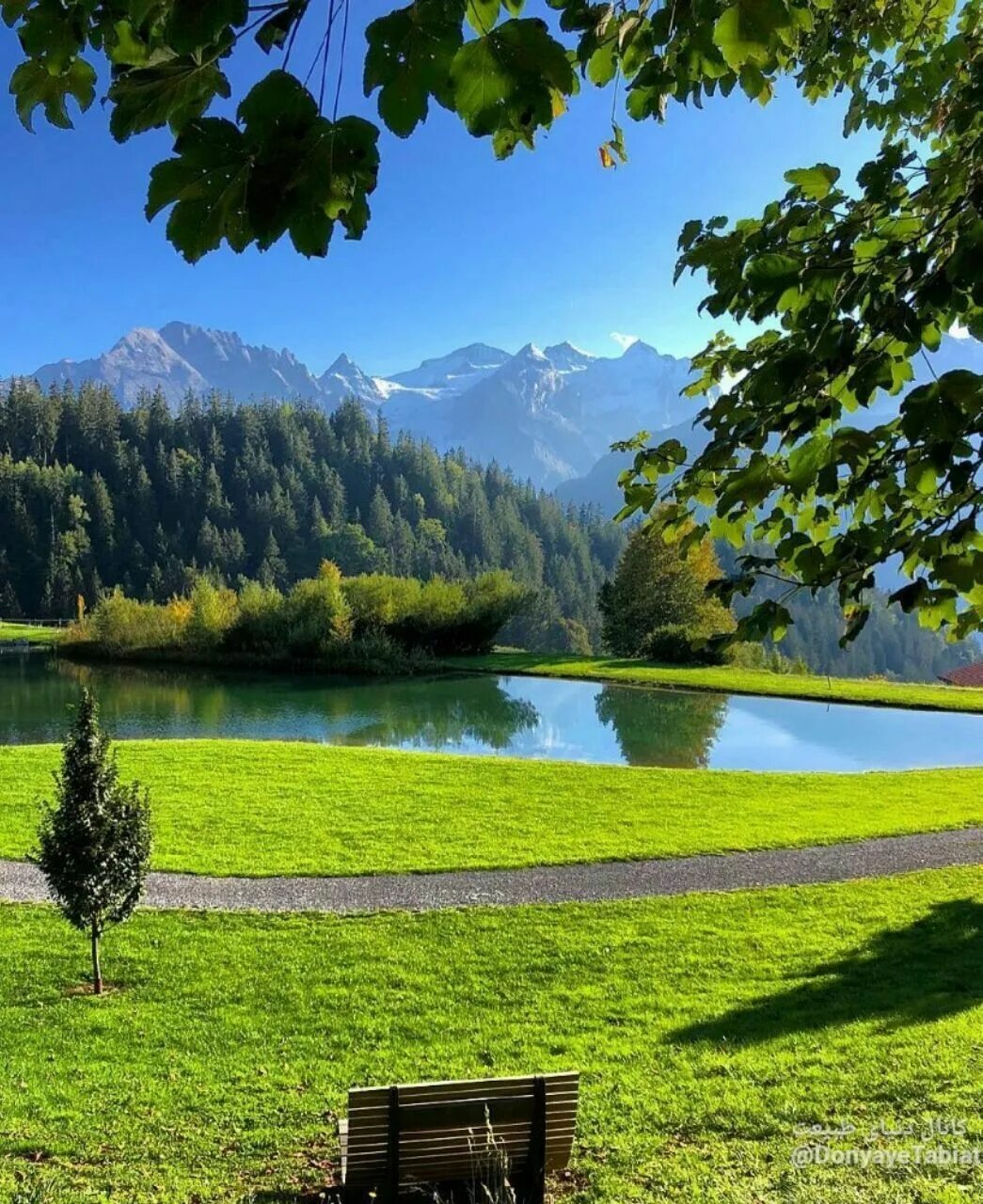Natural view. Ландшафт природы. Природа Швейцарии. Швейцария красивые места. Леса Швейцарии.