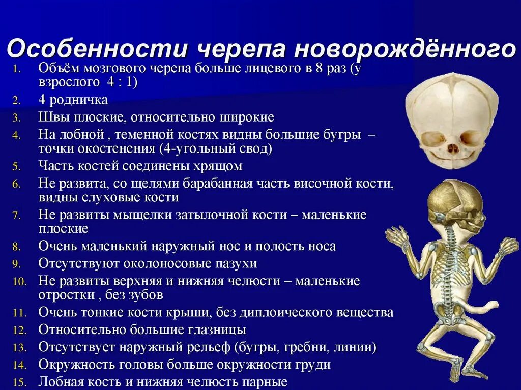 Перечислите особенности скелета. Особенности черепа новорожденных. Особенности строения черепа новорожденного. Особенности строения костей свода черепа у детей. Возрастные особенности черепа новорожденного ребенка.