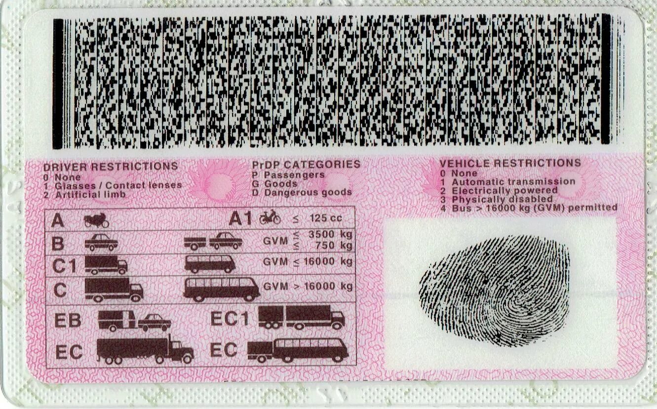 Qr код прав. Driver License Barcode. QR код на водительском удостоверении. Driver License QR code. South Africa Driver License.