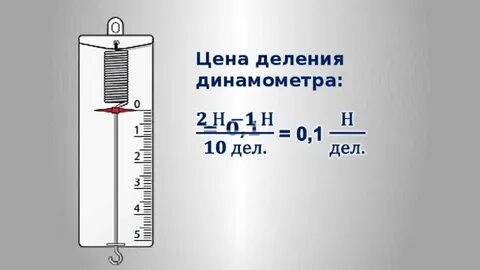 Деление динамометра