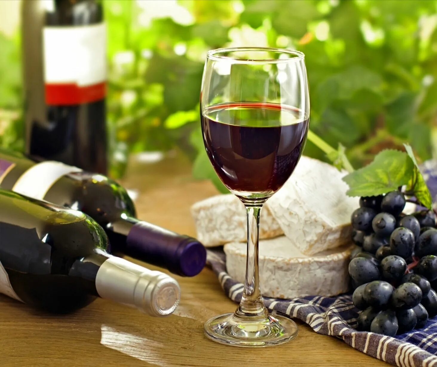 Поен вино. Красное вино. Красное виноградное вино. Белое вино. Испанские вина.