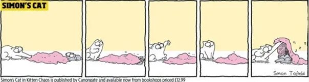 Simon s cat dash