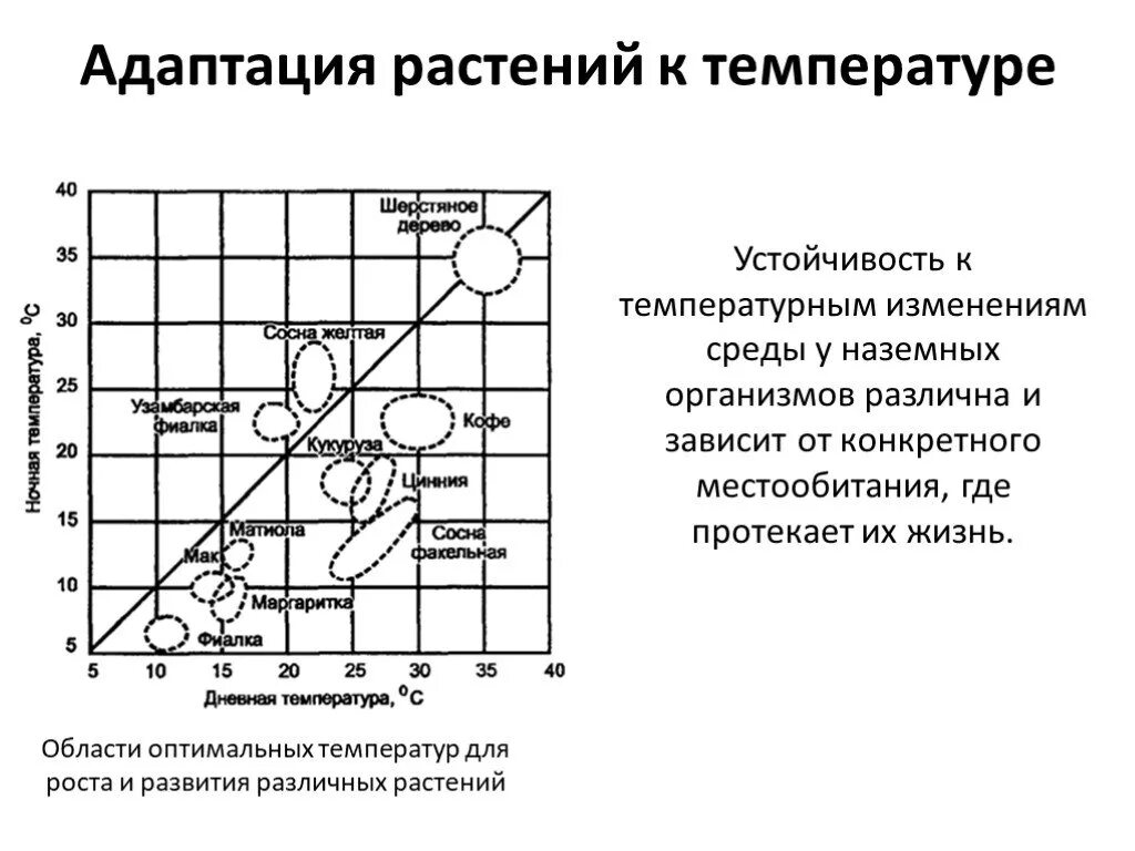 Адаптации животных к температуре. Адаптация растений к температуре. адаптация растений к высоким температурам. температурные адаптации растений. адаптация растений к низким температурам примеры.