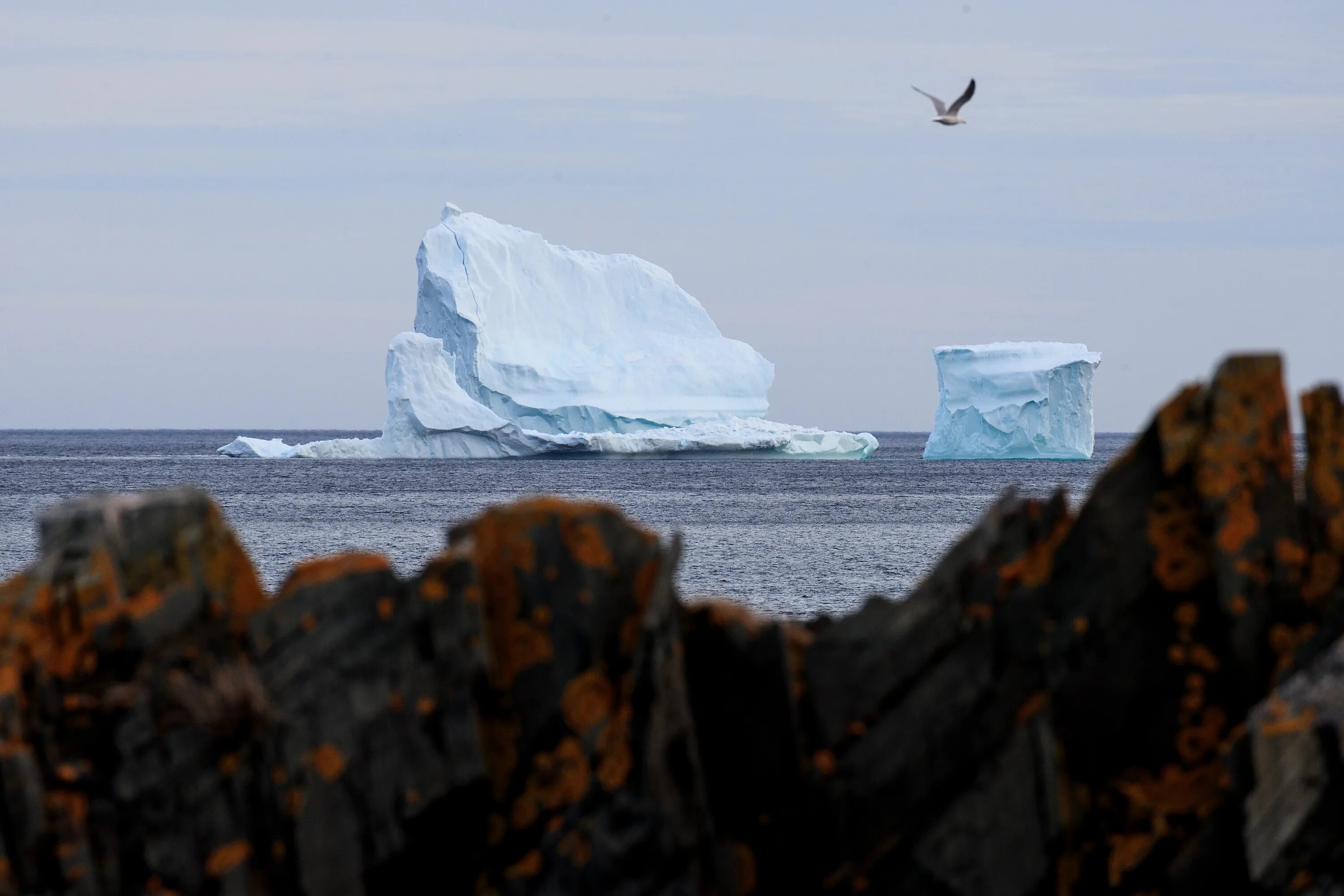 Ньюфаундленд Айсберг. Айсберги в Атлантическом океане. Аллея айсбергов в Атлантическом океане. Айсберги в Атлантическом океане фото.