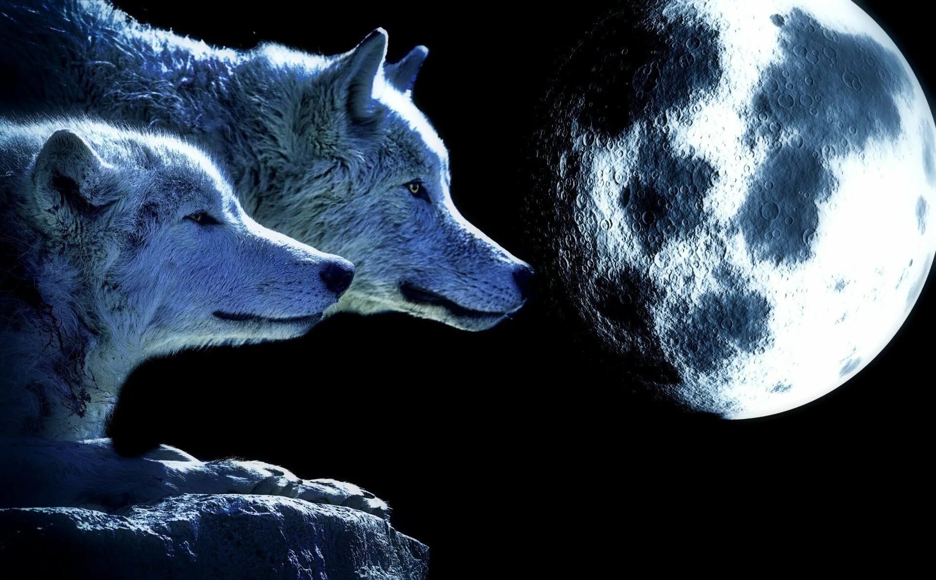Волк и Луна. Картинки на рабочий стол волки на весь экран. Полнолуние волк. Два волка.
