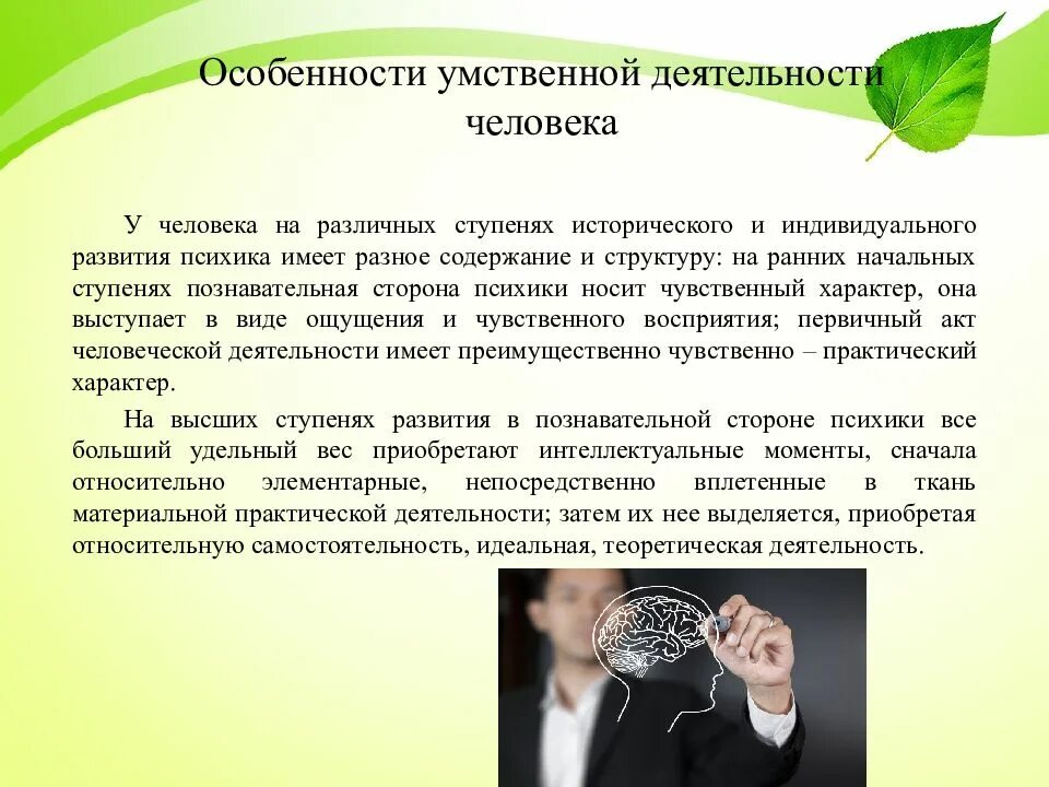 Влияние на умственное развитие. Умственная деятельность человека. Взаимосвязь физической и умственной деятельности. Особенности человеческой деятельности. Физическая и умственная деятельность человека.