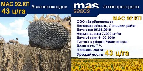 Подсолнечник урожайность с 1