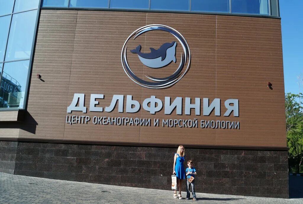 Дельфиния, улица жуковского, новосибирск. Центр дельфиния. Дельфиния ул жуковского 100 4. Ул жуковского 100 новосибирск. Дельфиния в новосибирске галущака.