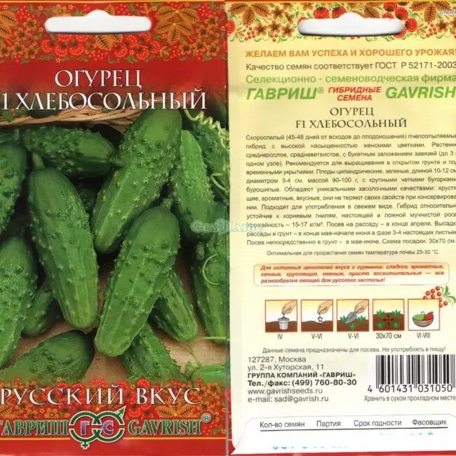 Огурец парижский корнишон. Огурец хлебосольный. Огурцы с мелкими семенами. Огурцы с мелкими семенами. Огурцы корнишоны хоббит.