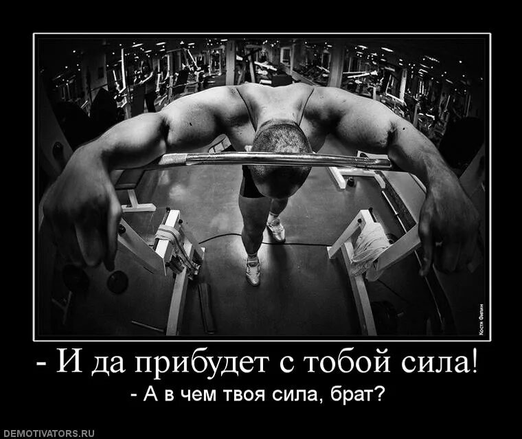 Сильных что в более слабых