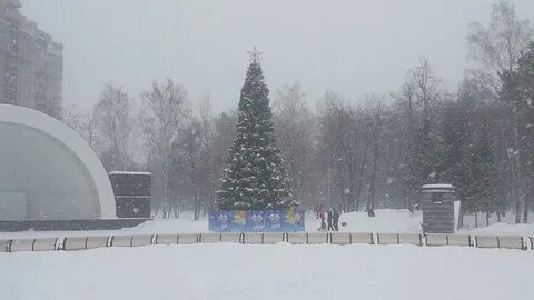 Градусы в новосибирске