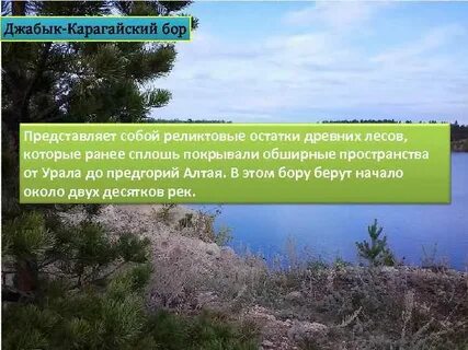Карагайский бор расстояние