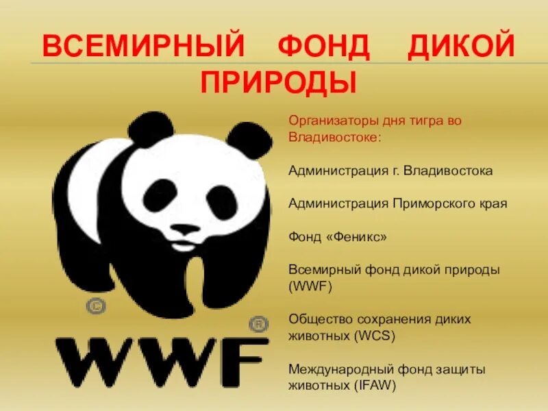 Фонд дикой природы WWF. Всемирный фонд дикой природы сообщение. Всемирный фонд охраны диких животных. Всемирный фонд охраны дикой природы доклад.