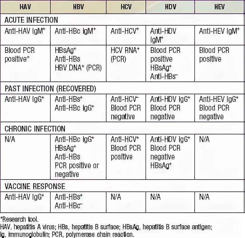 Igg igm hcv. Anti HCV IGM IGG что это такое. Anti-hav IGM положительный. Анти-HCV IGG положительный что это. Anti HCV IGG норма.