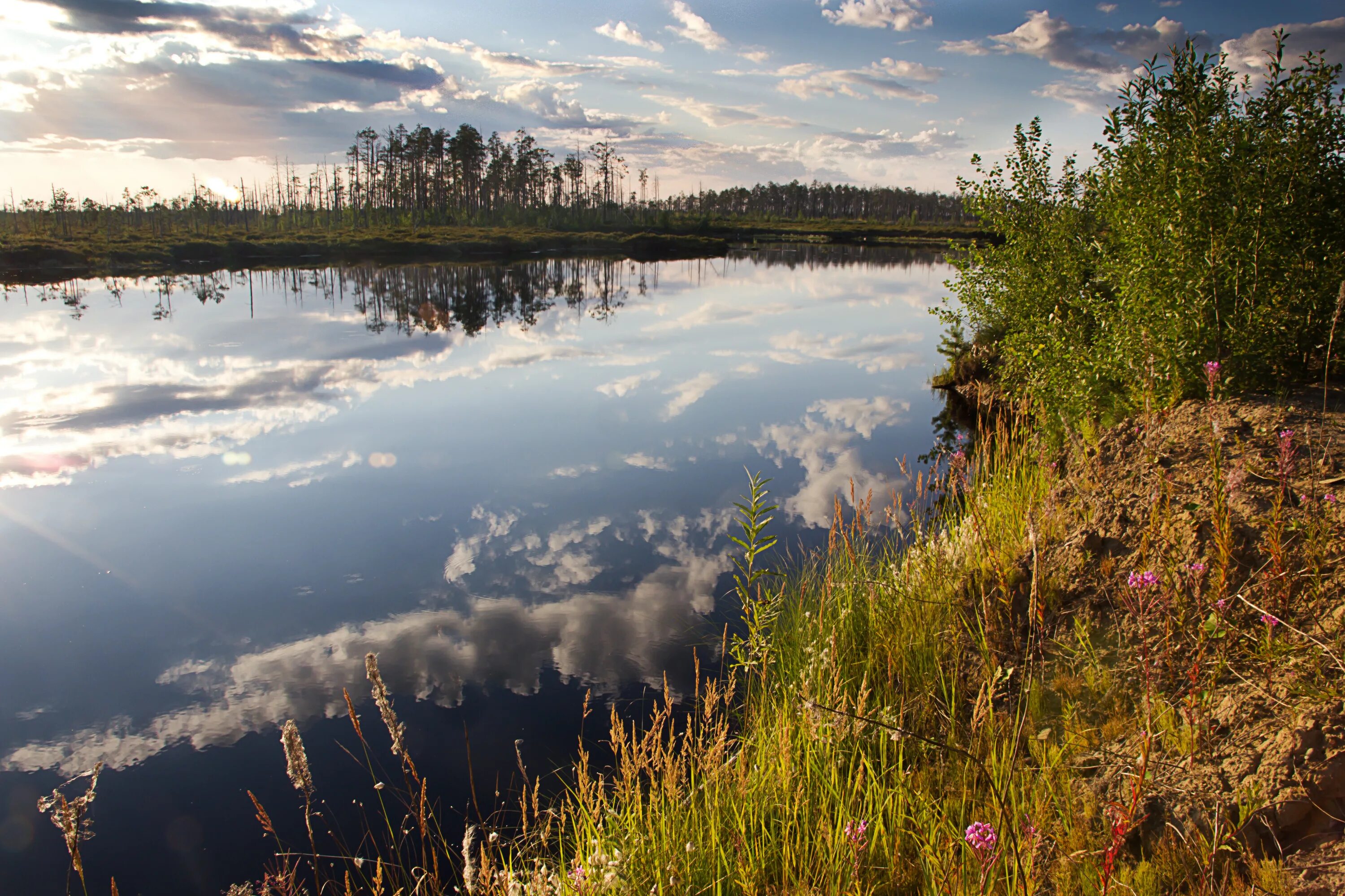 Озеро является источником. Оз стеклянное Омская область. Озеро стеклянное Омская. Озеро стеклянное Калачинский район Омская область. Озеро Торфяное Самарская область.