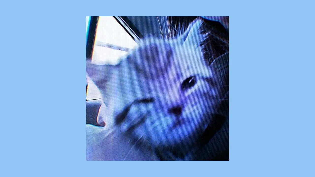 Неважно speed up. Неважно speed up