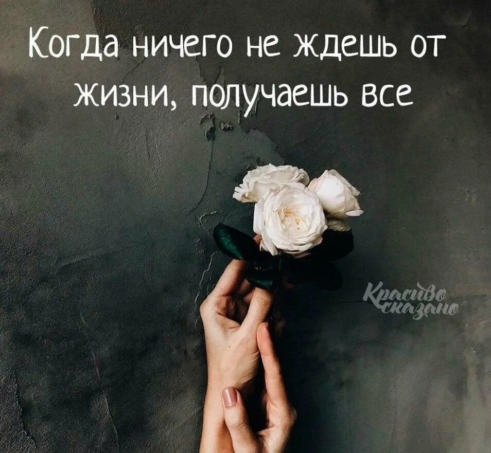 Цитаты про жизнь со смыслом девушкам. Красивые цитаты. красивые фразы. статусы про жизнь. красивые статусы.