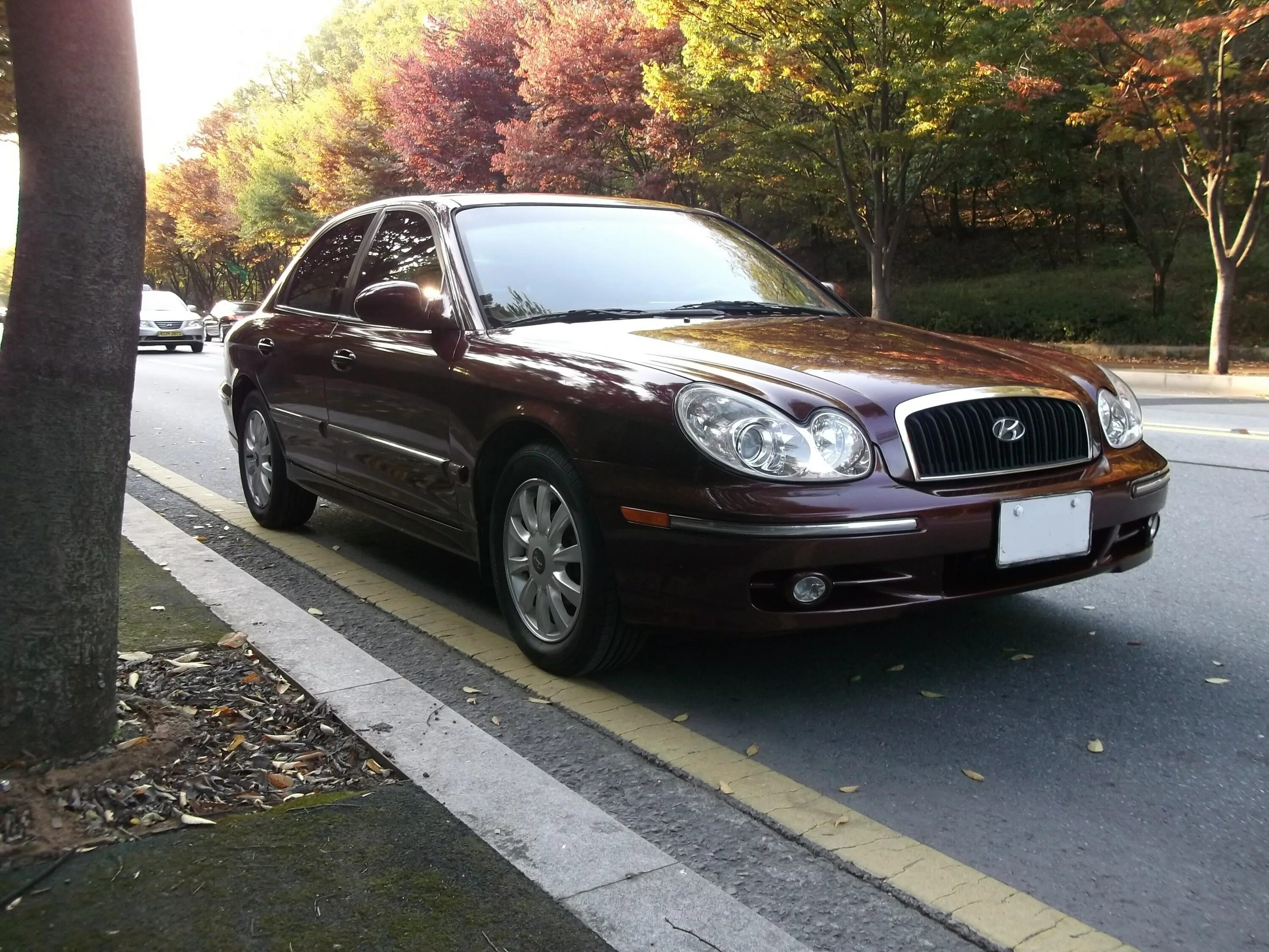 Хендай соната 5 тагаз. Хендай соната 2005. Hyundai sonata 5 поколения. Хундай соната 5. Хундай соната 5.