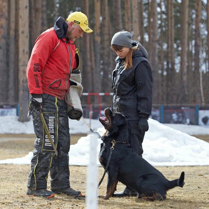 Тори коломна. Тори коломна. Окский 3а коломна. Кдц тори коломна дрессировочный центр. Тори коломна.