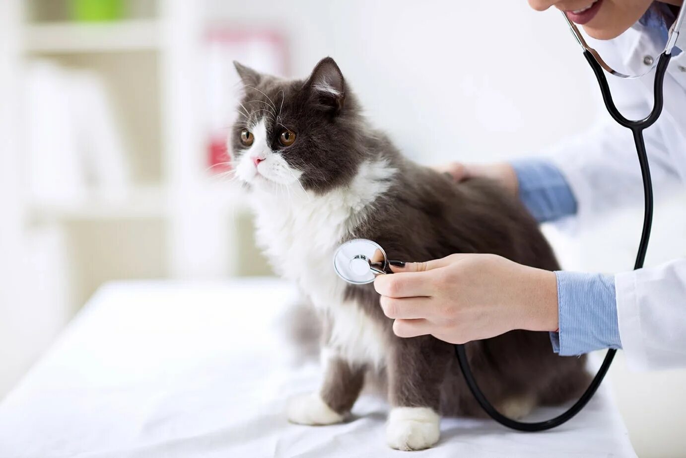 Take a check up