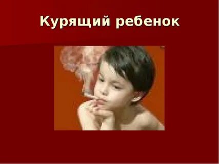 Курил форум