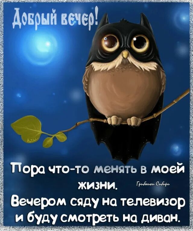 Картинки доброго вечера прикольные со смыслом. Веселые цитаты про вечер. цитаты про вечер. высказывания про вечер. афоризмы прикольные.