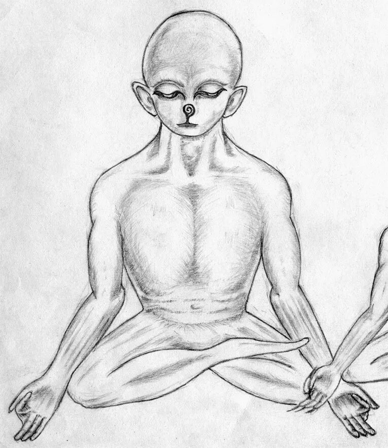 Миф мы люди. От кого мы произошли. Книг эрнеста мулдашева. Книг эрнеста мулдашева. От кого мы произошли.